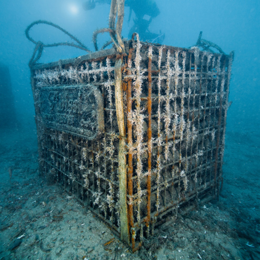 Bottiglie di Spumante Abissi di Bisson sott'acqua